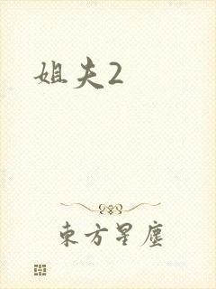 姐夫2