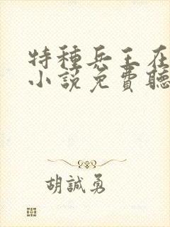 特种兵王在山村小说免费听