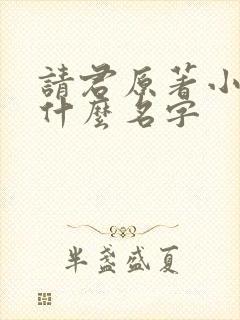 请君原著小说叫什么名字封面