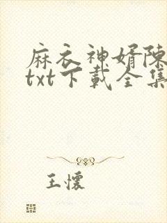 麻衣神婿陈黄皮txt下载全集