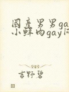 国产男男gay小鲜肉gay网站亚洲