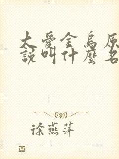 大爱金乌原著小说叫什么名字封面