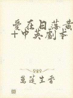 爱在日落黄昏时+中英剧本