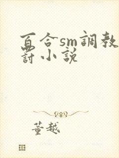 百合sm调教惩罚小说