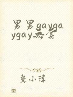 男男gaygaygay无套封面