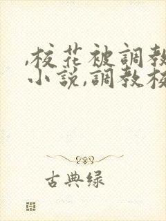 ,校花被调教h小说,调教校花为奴