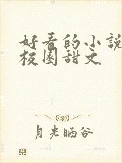 好看的小说推荐校园甜文