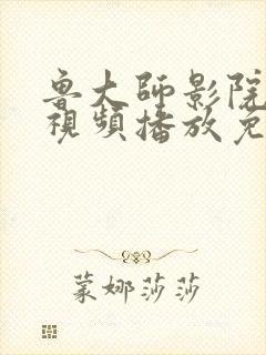 鲁大师影院在线视频播放免费播放下