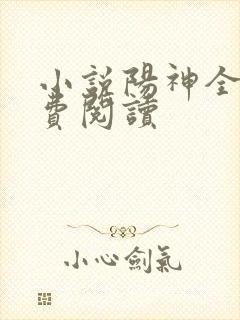 小说阳神全文免费阅读