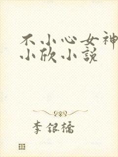 不小心女神女友小欣小说封面