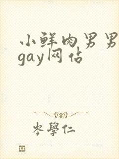 小鲜肉男男同性gay网站