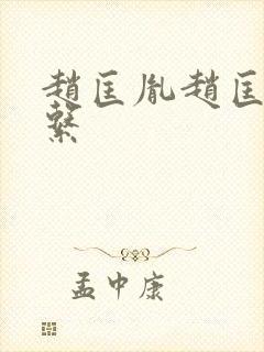 赵匡胤赵匡义关系封面