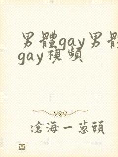 男体gay男体gay视频