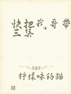 快把我哥带走第三集