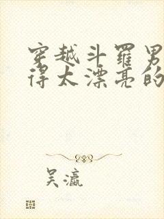 穿越斗罗男主长得太漂亮的小说
