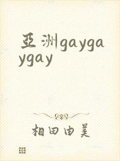 亚洲gaygaygay