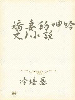 娇妻的呻吟(辣文)小说