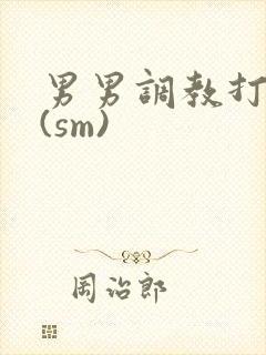 男男调教打屁股(sm)