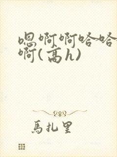 嗯啊啊哈哈啊啊啊(高h)