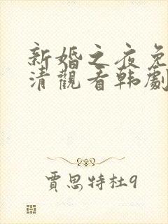 新婚之夜免费高清观看韩剧