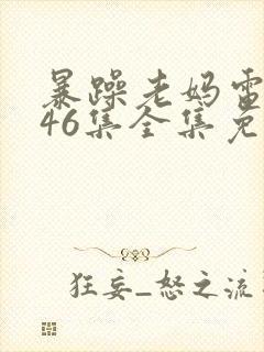 暴躁老妈电视剧46集全集免费播放在线观看