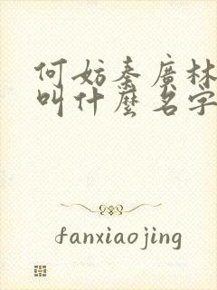 何妨秦广林小说叫什么名字封面