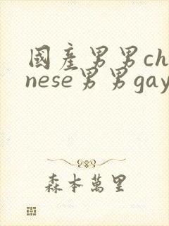 国产男男chinese男男gaygay网站