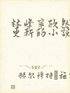 林峰宁欣然超前更新的小说1109