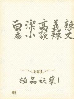 白洁高义辣文短篇小说辣文短篇小说辣文封面