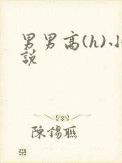 男男高(h)小说