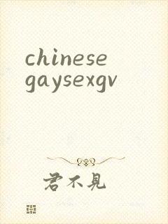 chinesegaysexgv