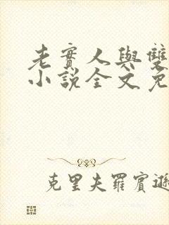 老实人与双胞胎小说全文免费阅读