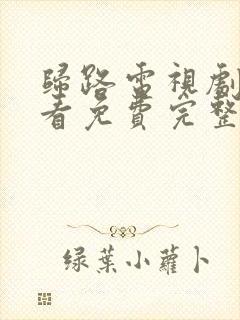 归路电视剧在线看免费完整版高清