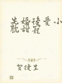 先婚后爱小说原耽甜宠