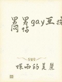 男男gay互操网站