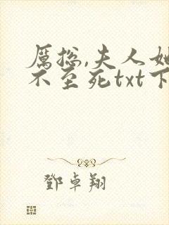 厉总,夫人她罪不至死txt下载