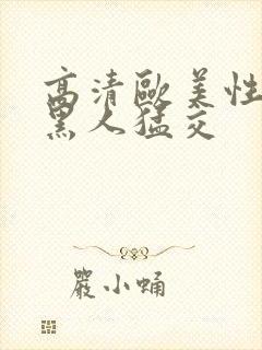 高清欧美性猛交黑人猛交