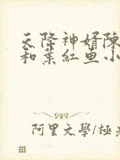 天降神婿陈黄皮和叶红鱼小说