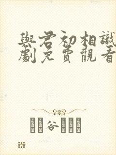 与君初相识电视剧免费观看完整版高