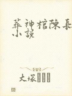 葬神棺陈长安的小说