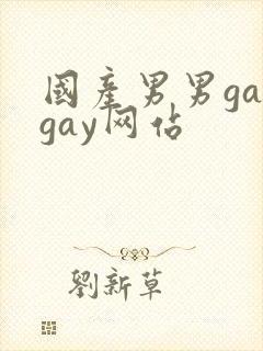 国产男男gaygay网站