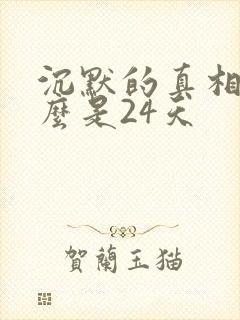 沉默的真相为什么是24天封面