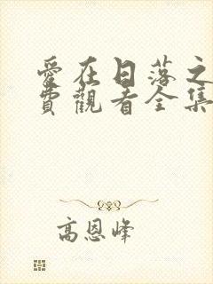 爱在日落之前免费观看全集完整版
