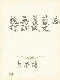 魏无羡蓝忘机挨打训诫文封面