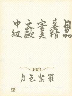 中文字幕日韩一级欧美精品
