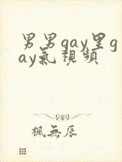 男男gay里gay气视频