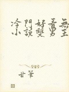 冷门好看无限流小说双男主