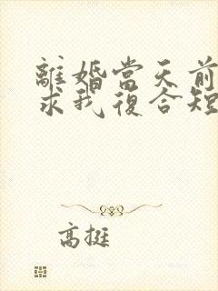离婚当天前夫跪求我复合短剧