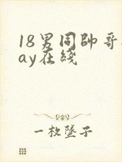 18男同帅哥gay在线