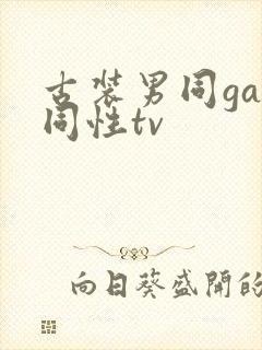 古装男同gay同性tv